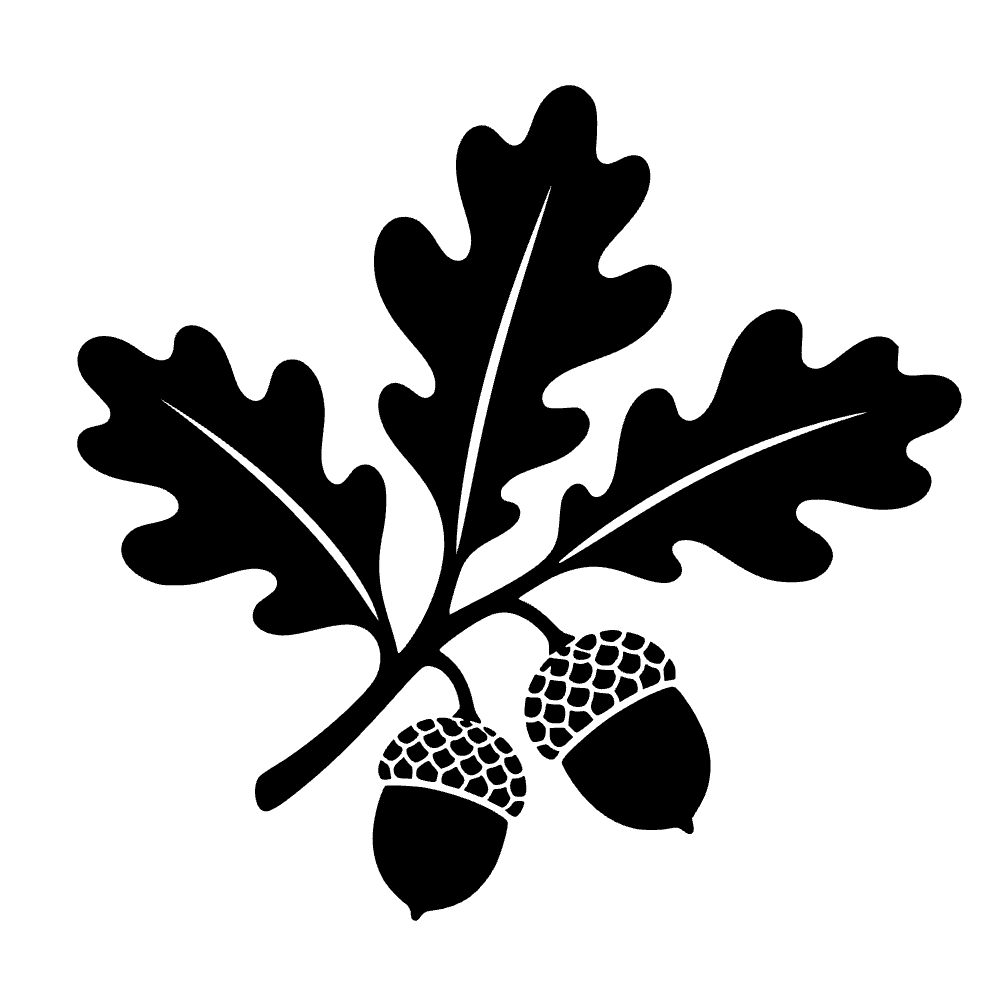 Bellota con hojas de roble — archivo SVG