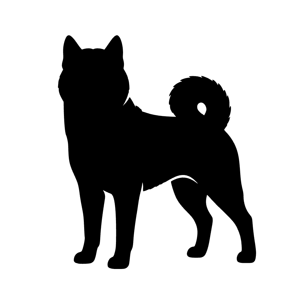 Perro Akita con cola rizada — archivo SVG