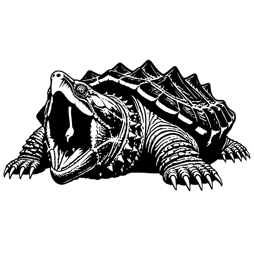 Cocodrilo atrapando una tortuga — vista previa del archivo SVG