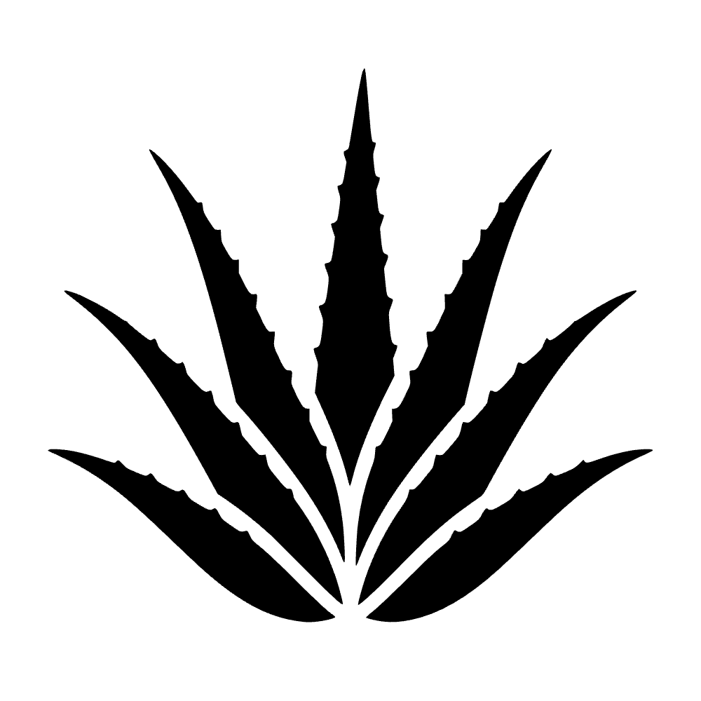 Hojas de aloe vera — archivo SVG
