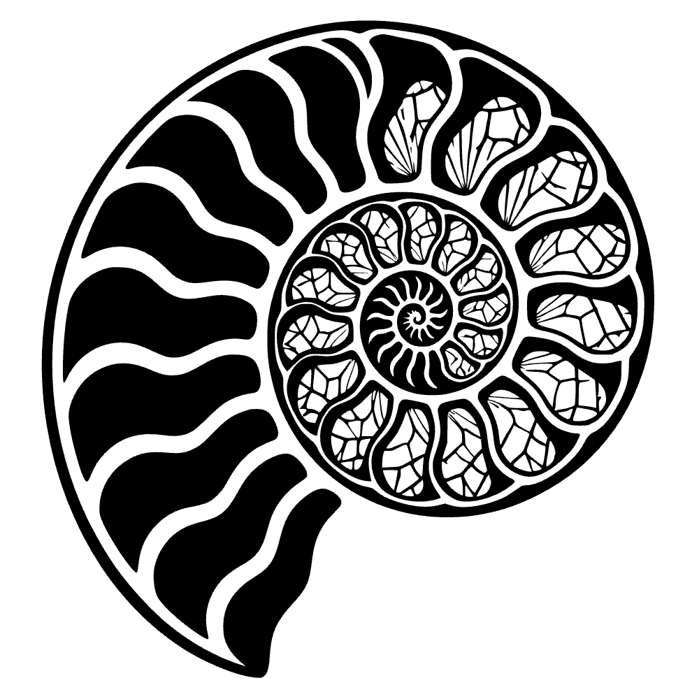Concha de amonita en espiral — archivo SVG