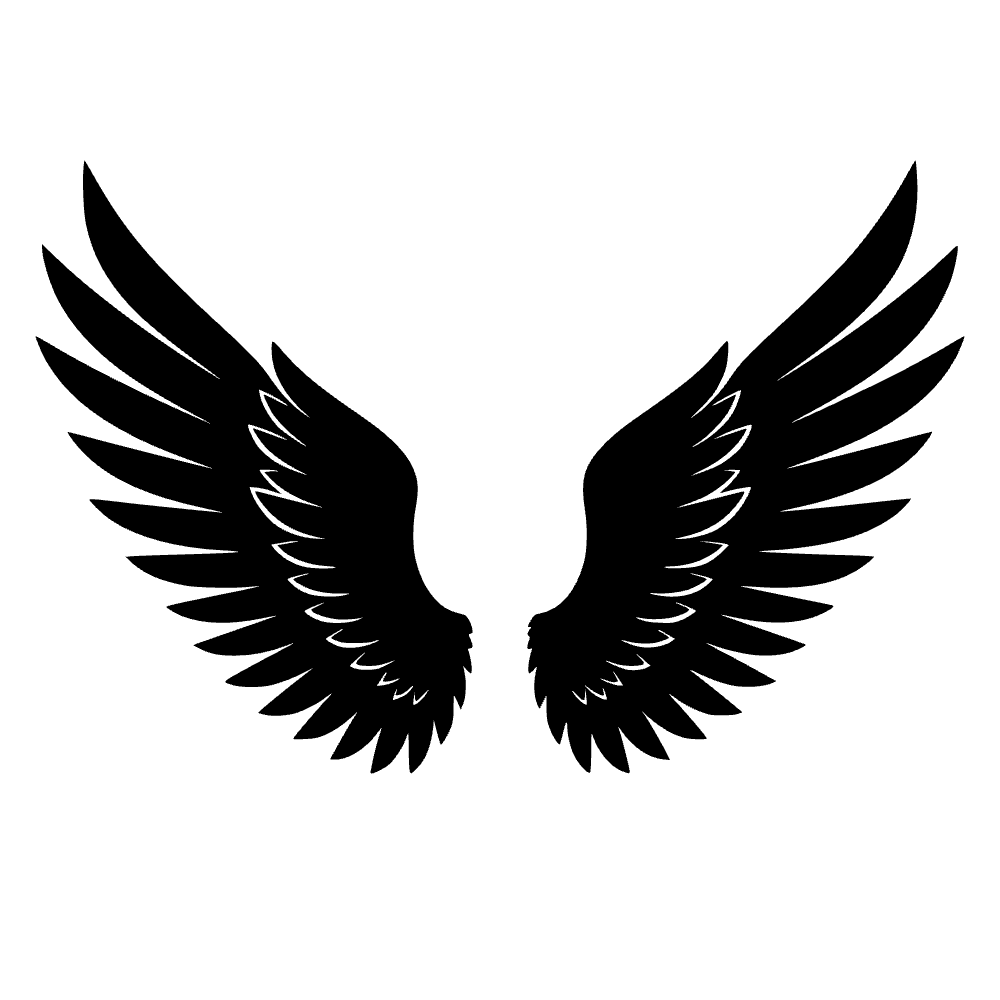 Par de alas de ángel — archivo SVG