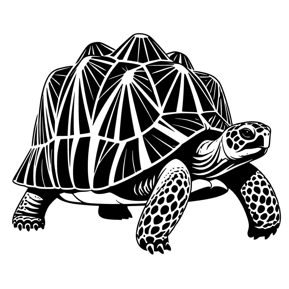 Angonoka Tortoise SVG cut file