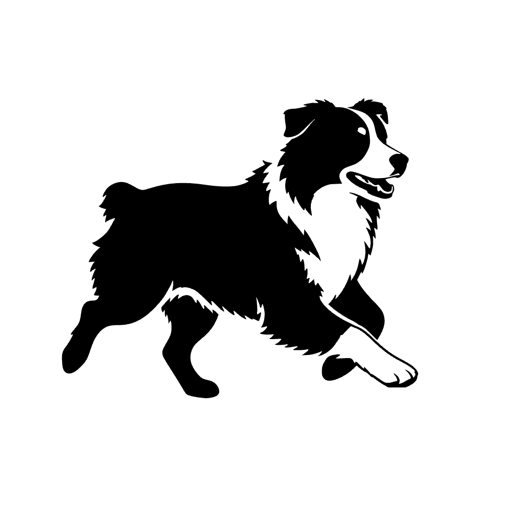 Perro pastor australiano — archivo SVG