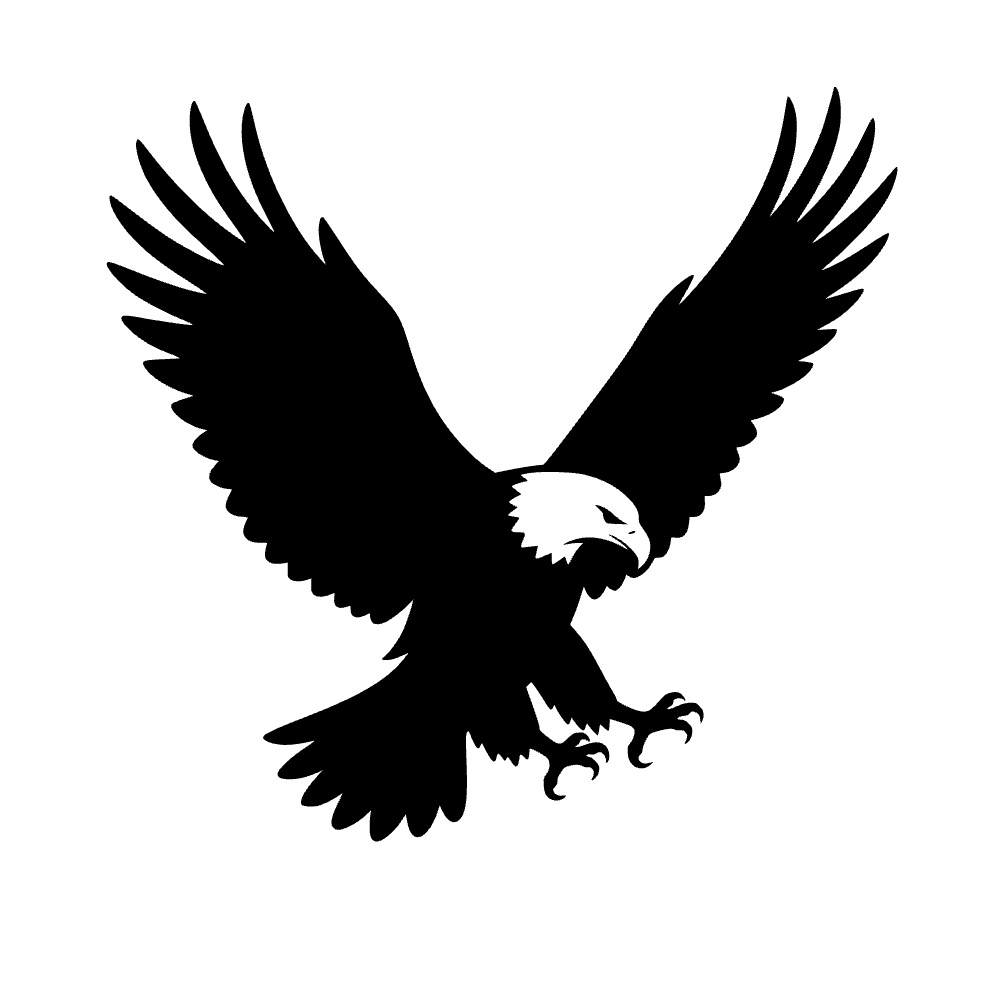 Águila calva aterrizando — archivo SVG