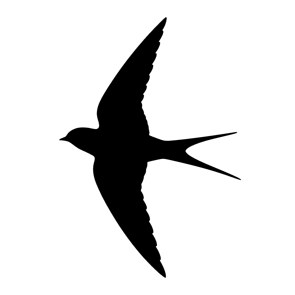 Golondrina de granero volando — archivo SVG