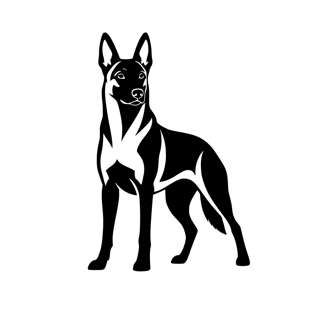 Perro belga malinois — archivo SVG