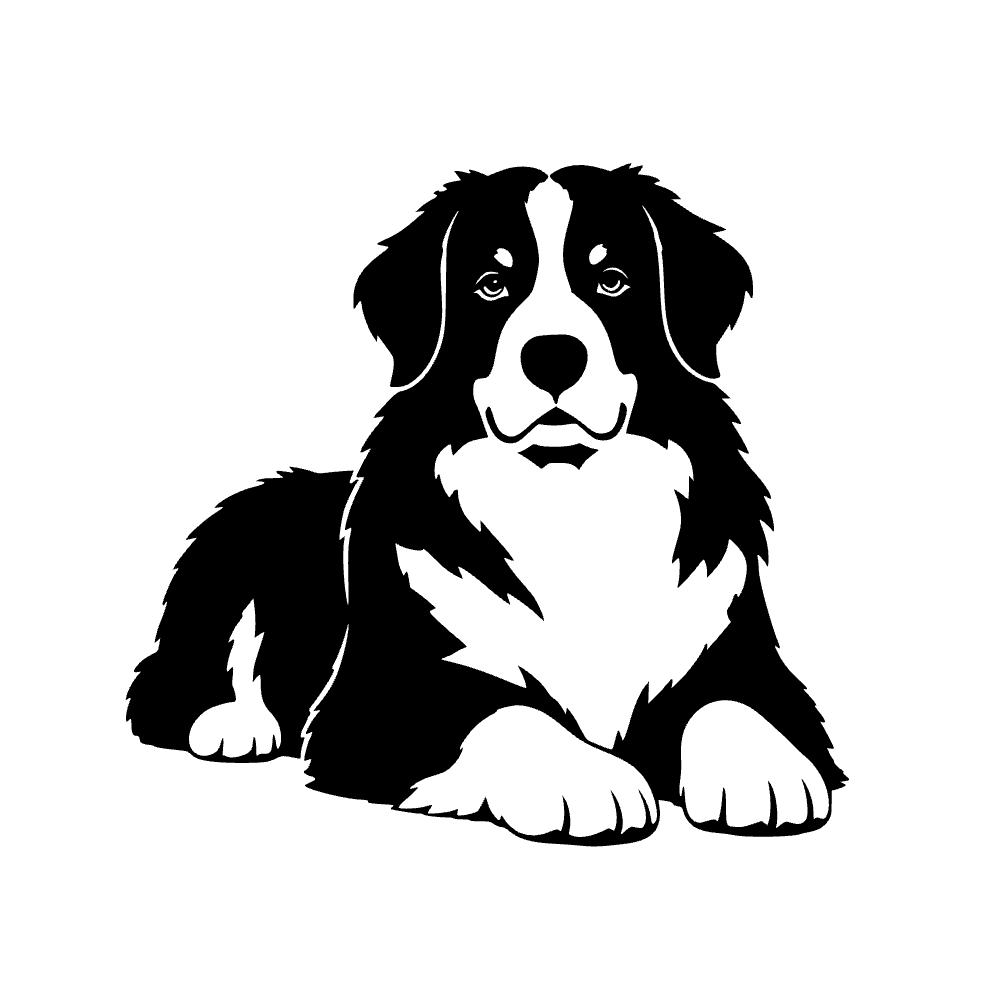 Perro de montaña de Berna — archivo SVG