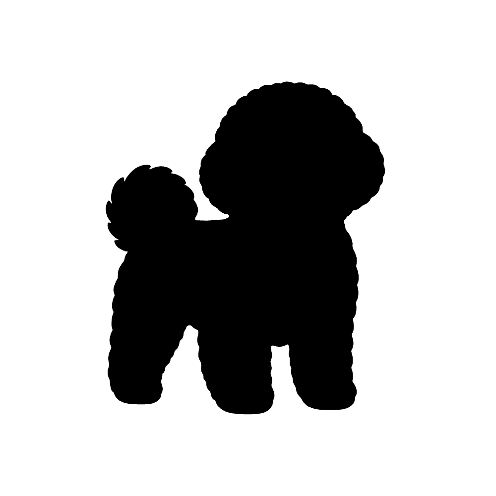 Perro bichón frisé — archivo SVG