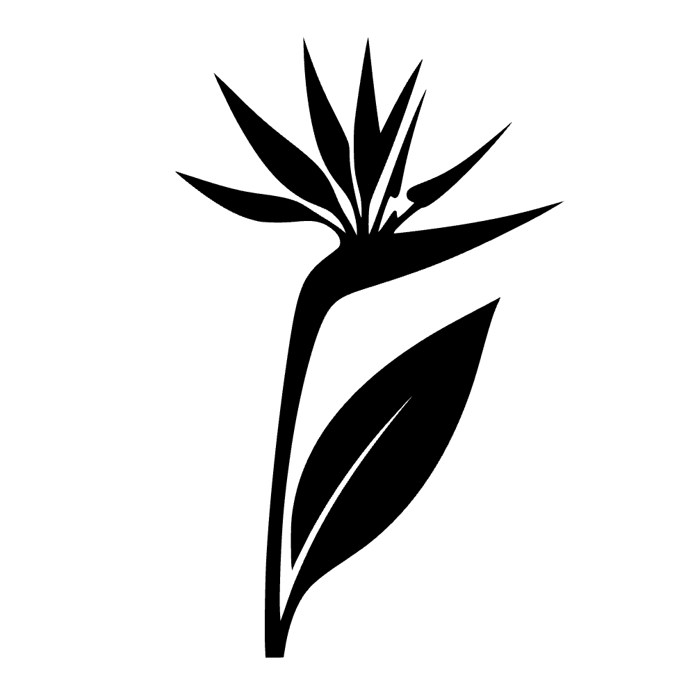 Flor del paraíso — archivo SVG