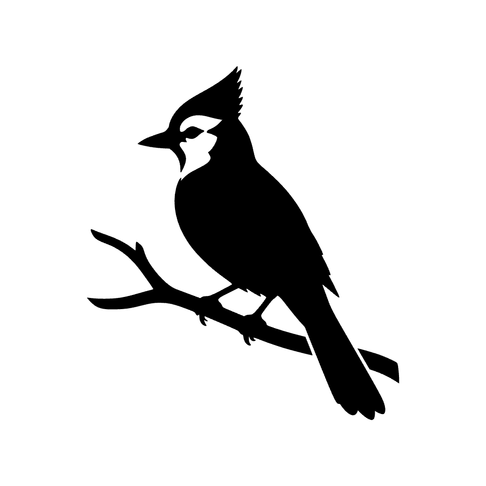 Arrendajo azul posado — archivo SVG