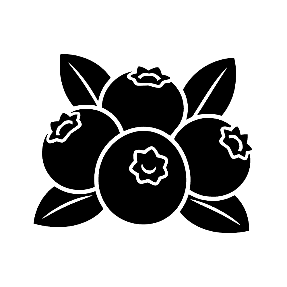 Racimo de arándanos — archivo SVG
