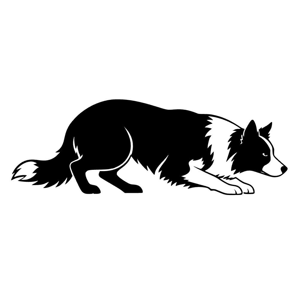 Perro border collie — archivo SVG