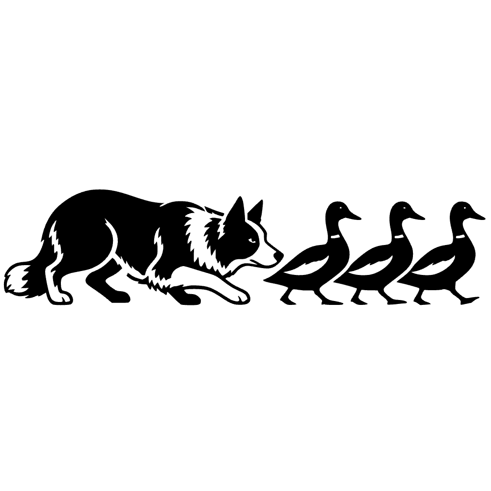 Border Collie Herding Ducks SVG cut file