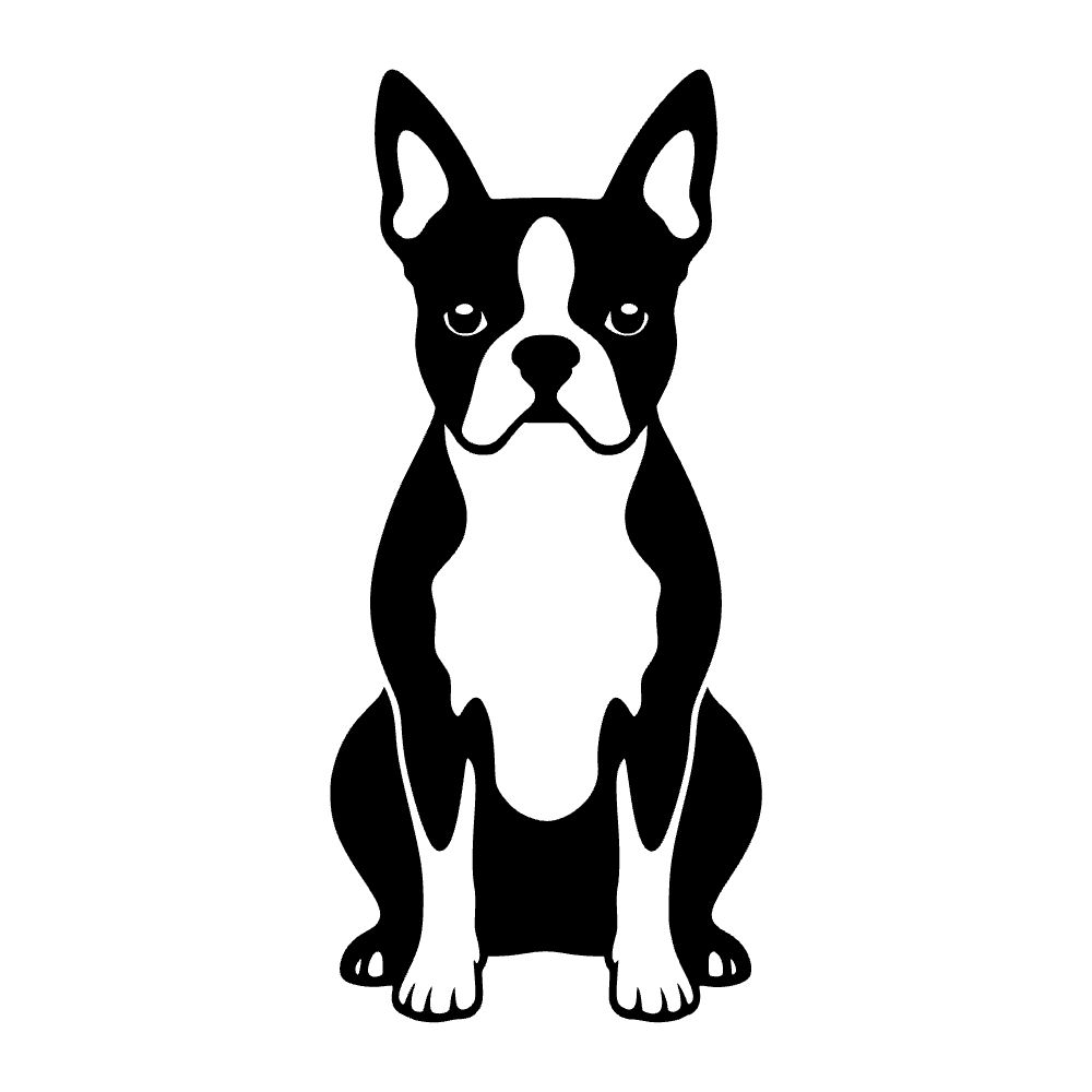 Perro Boston Terrier — archivo SVG