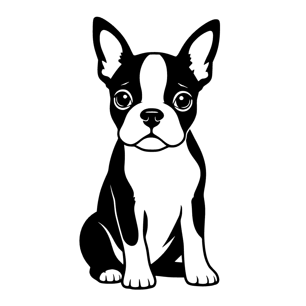 Cachorro de Boston terrier — archivo SVG