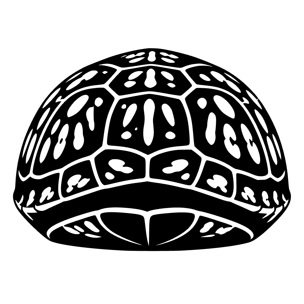 Ícono de tortuga caja — vista previa del archivo SVG