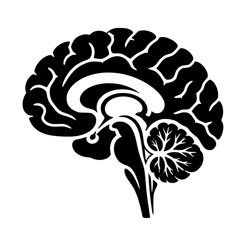 Ícono de anatomía del cerebro — archivo SVG