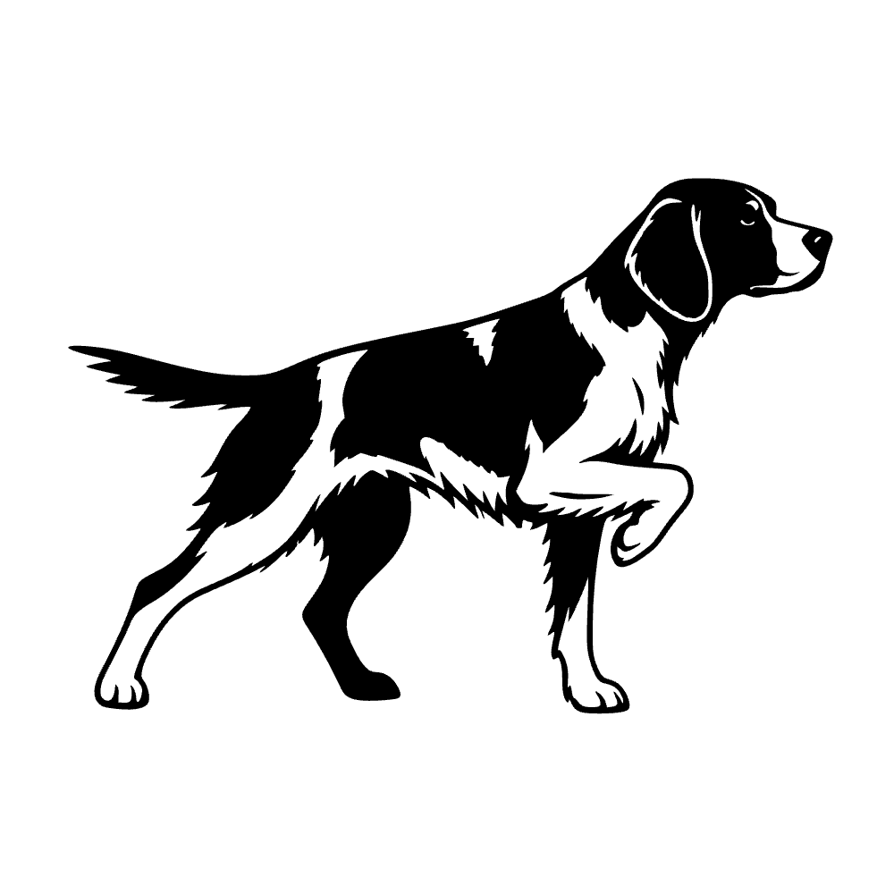 Perro spaniel de Bretaña — archivo SVG