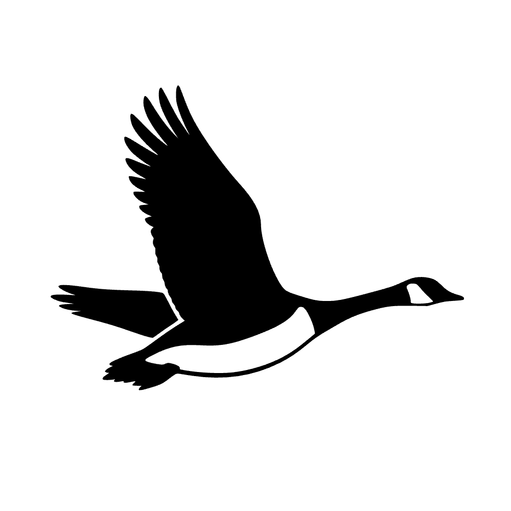 Ganso canadiense volando — archivo SVG