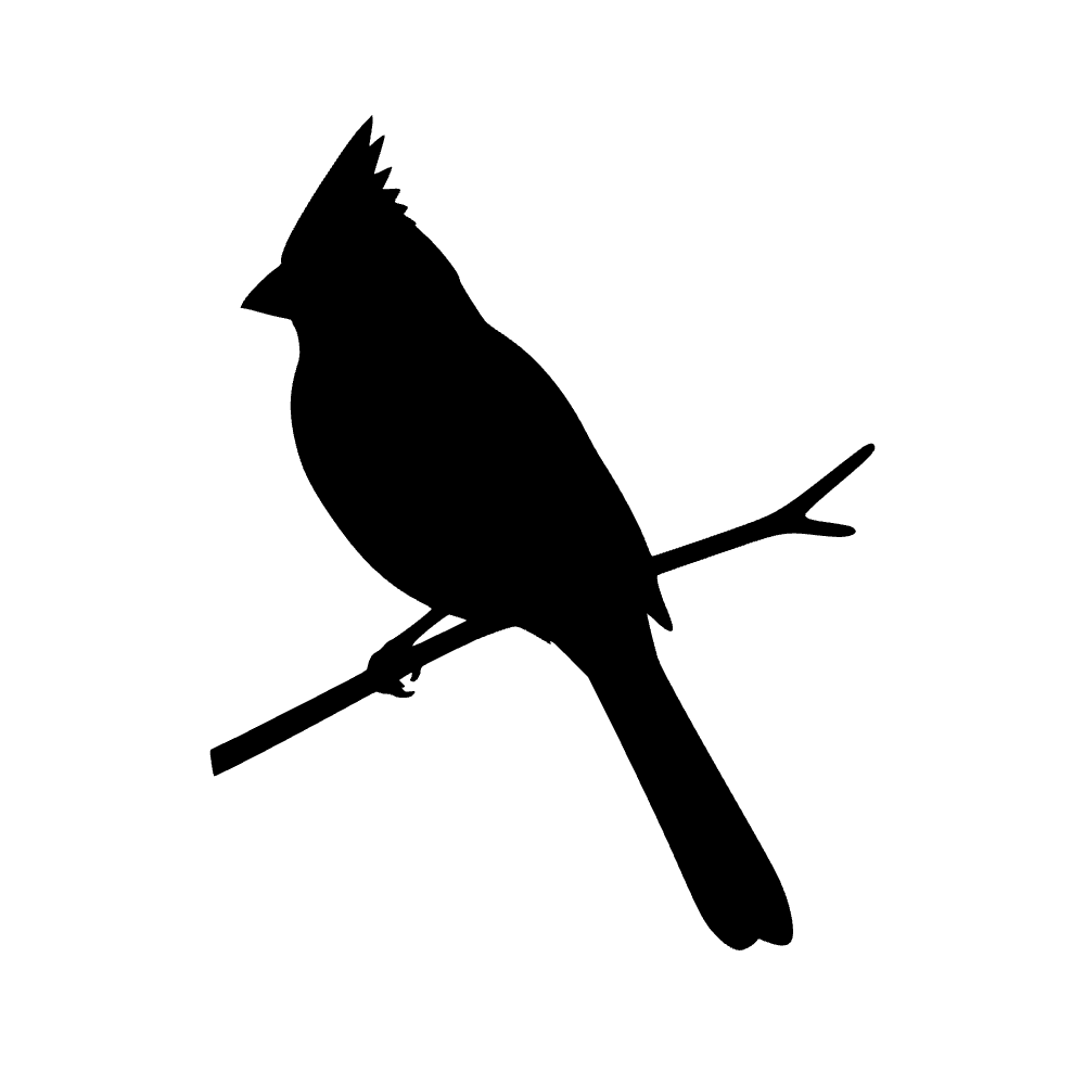 Cardinal Branch Silhouette SVG cut file preview