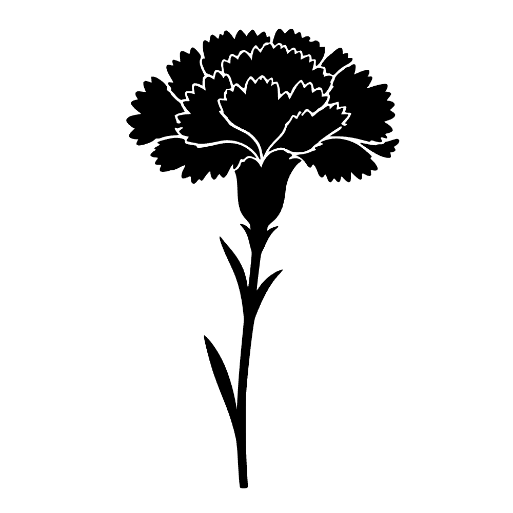 Flor de clavel — vista previa del archivo SVG