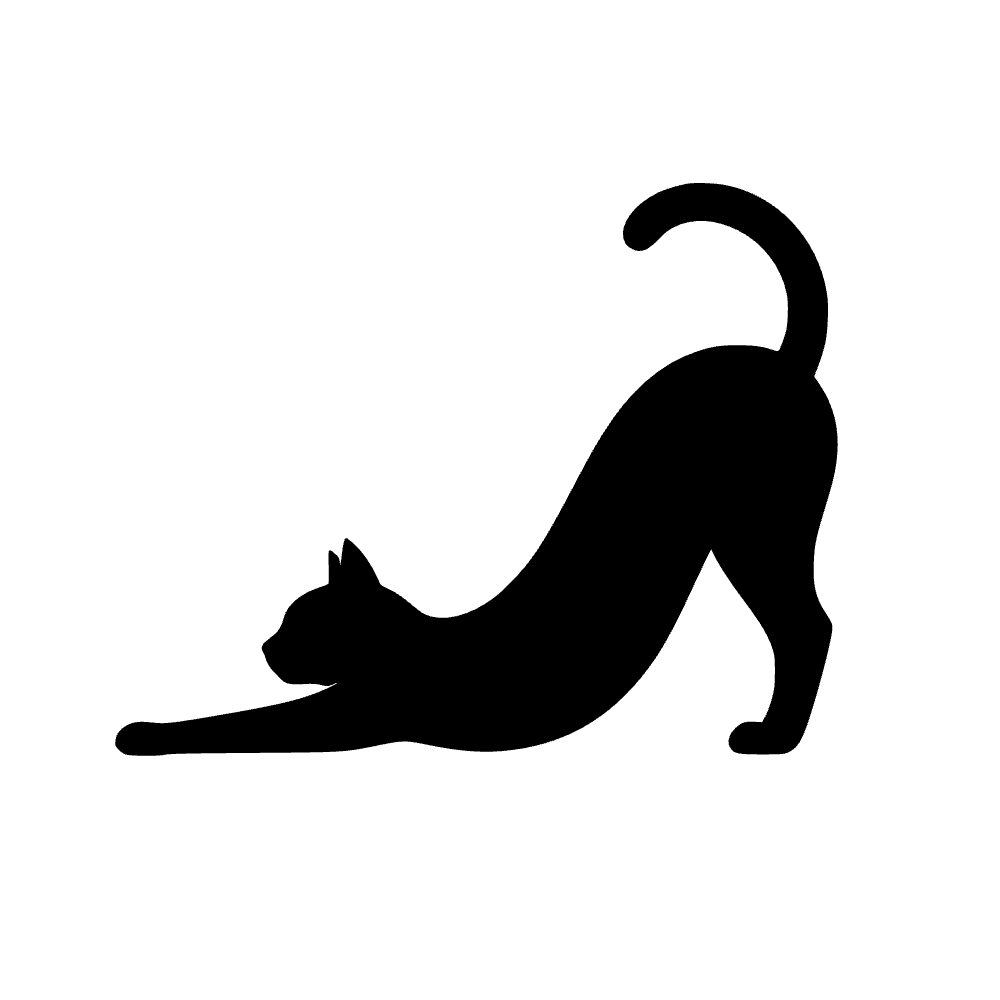 Gato estirándose en yoga — archivo SVG