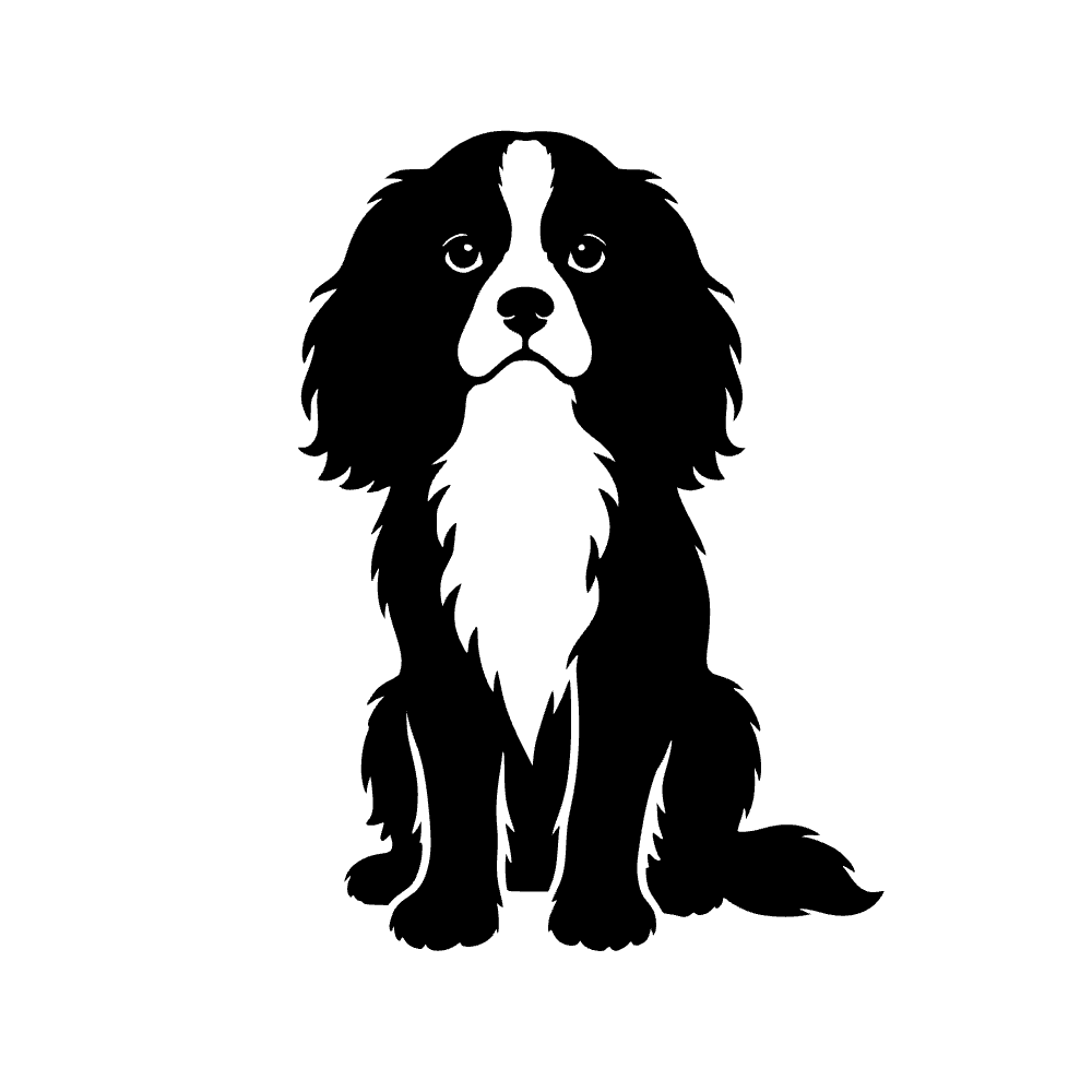 Perro Cavalier King Charles — archivo SVG