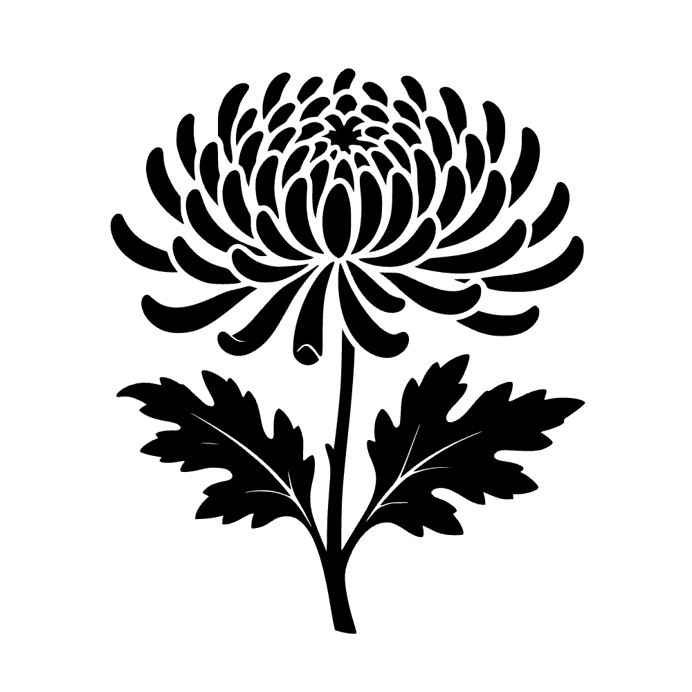 Flor de crisantemo — archivo SVG