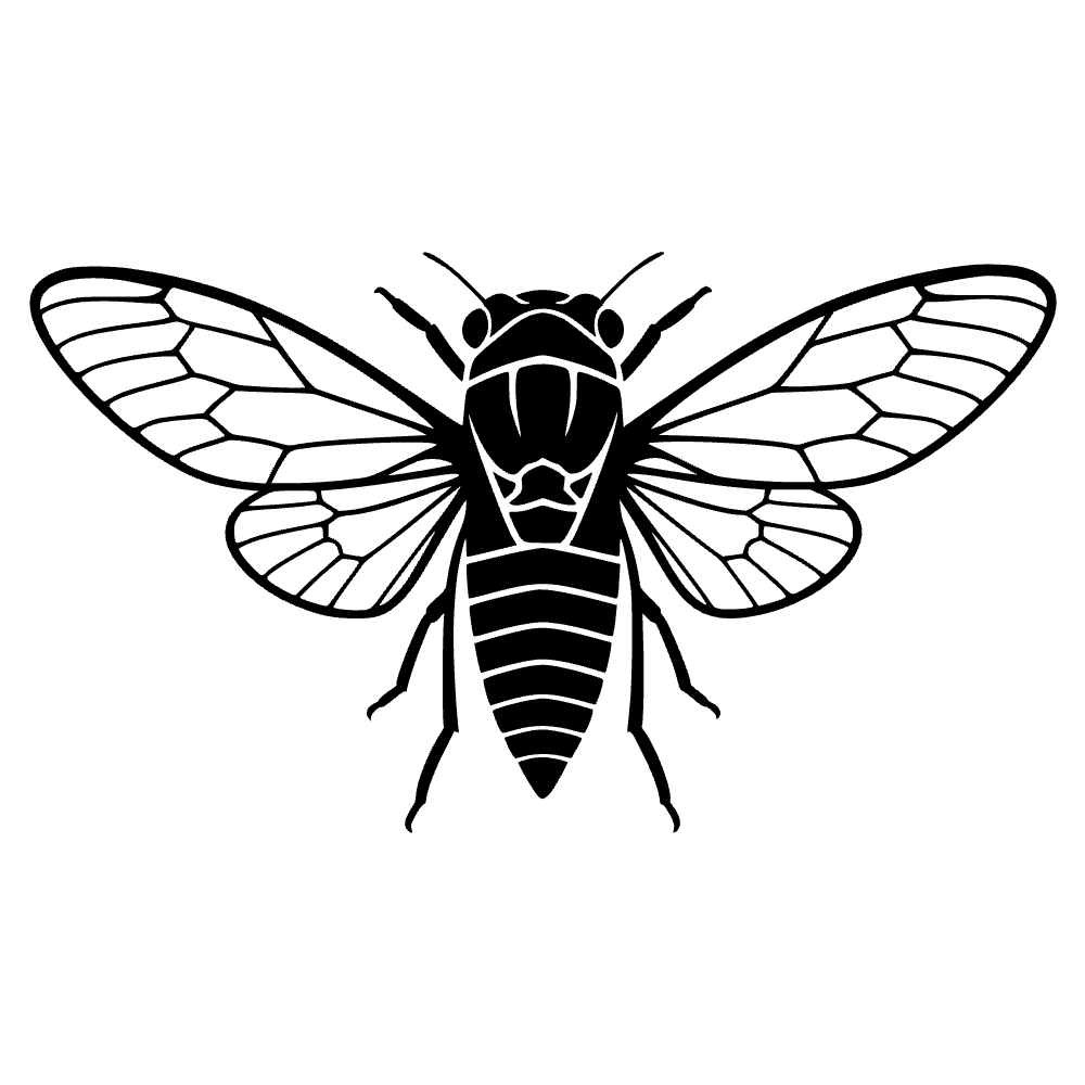 Cigarra con alas transparentes — archivo SVG