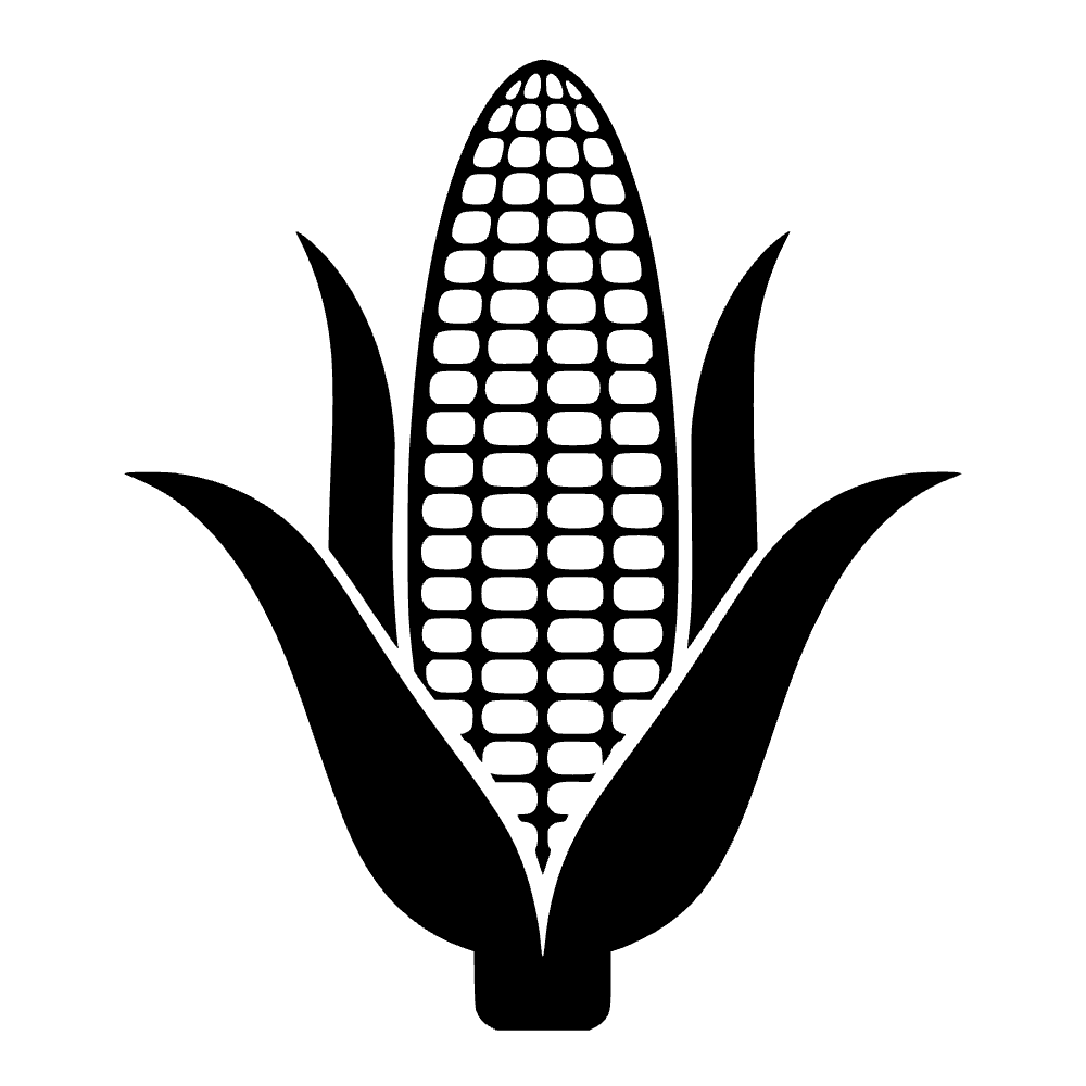 Mazorca de maíz — archivo SVG
