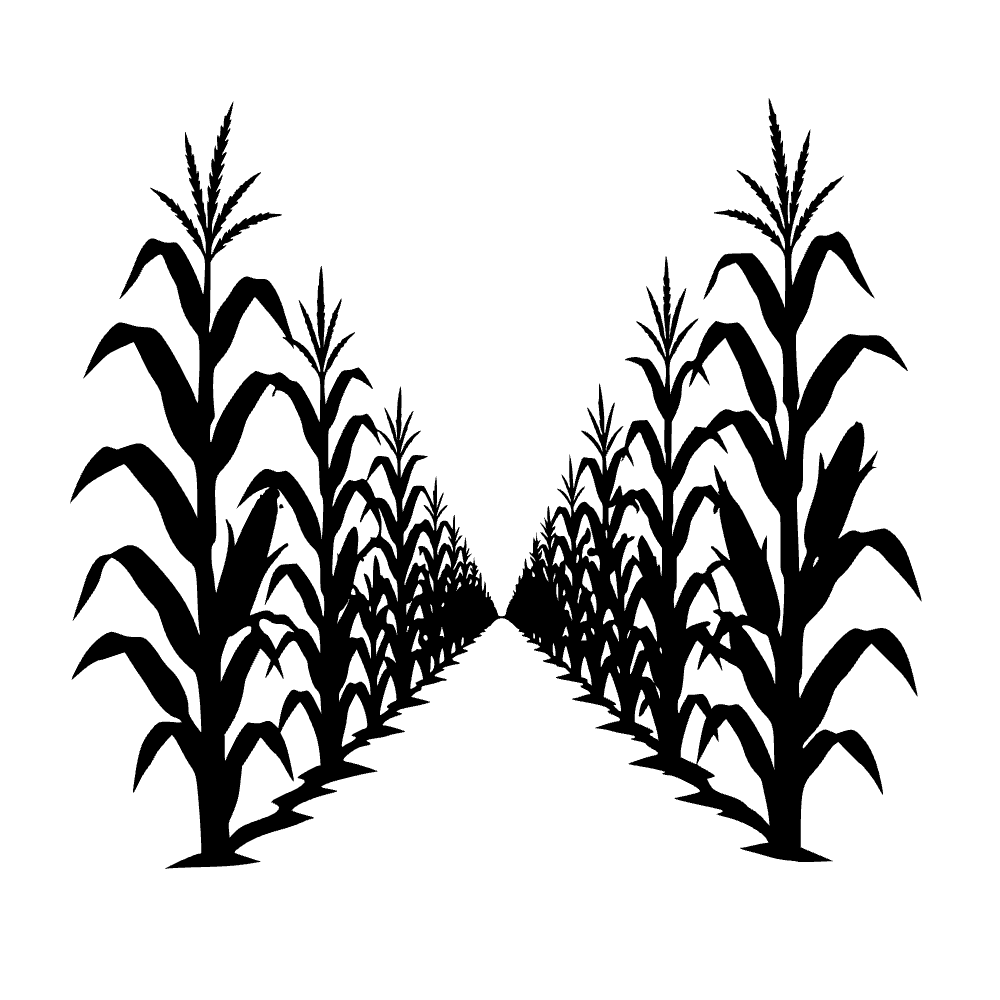 Filas de campo de maíz — archivo SVG