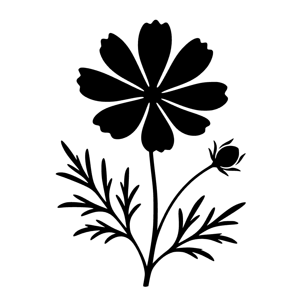 Flor de cosmos — archivo SVG