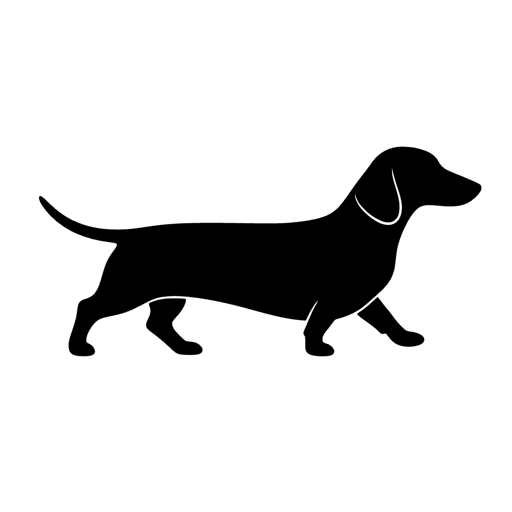 Perro dachshund — archivo SVG