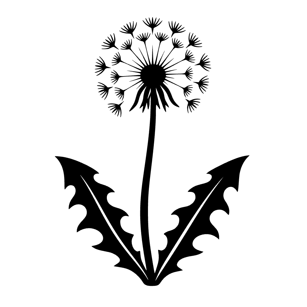 Cabeza de diente de león — archivo SVG
