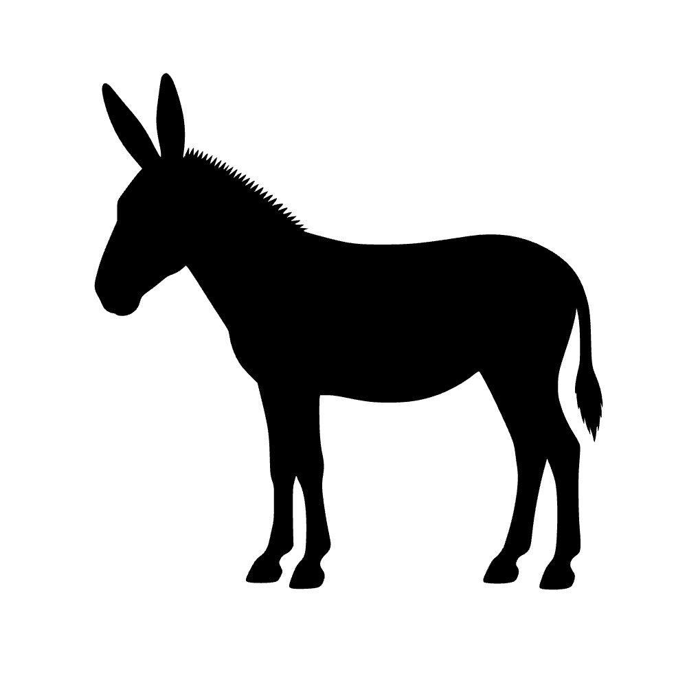 Burro de pie — archivo SVG