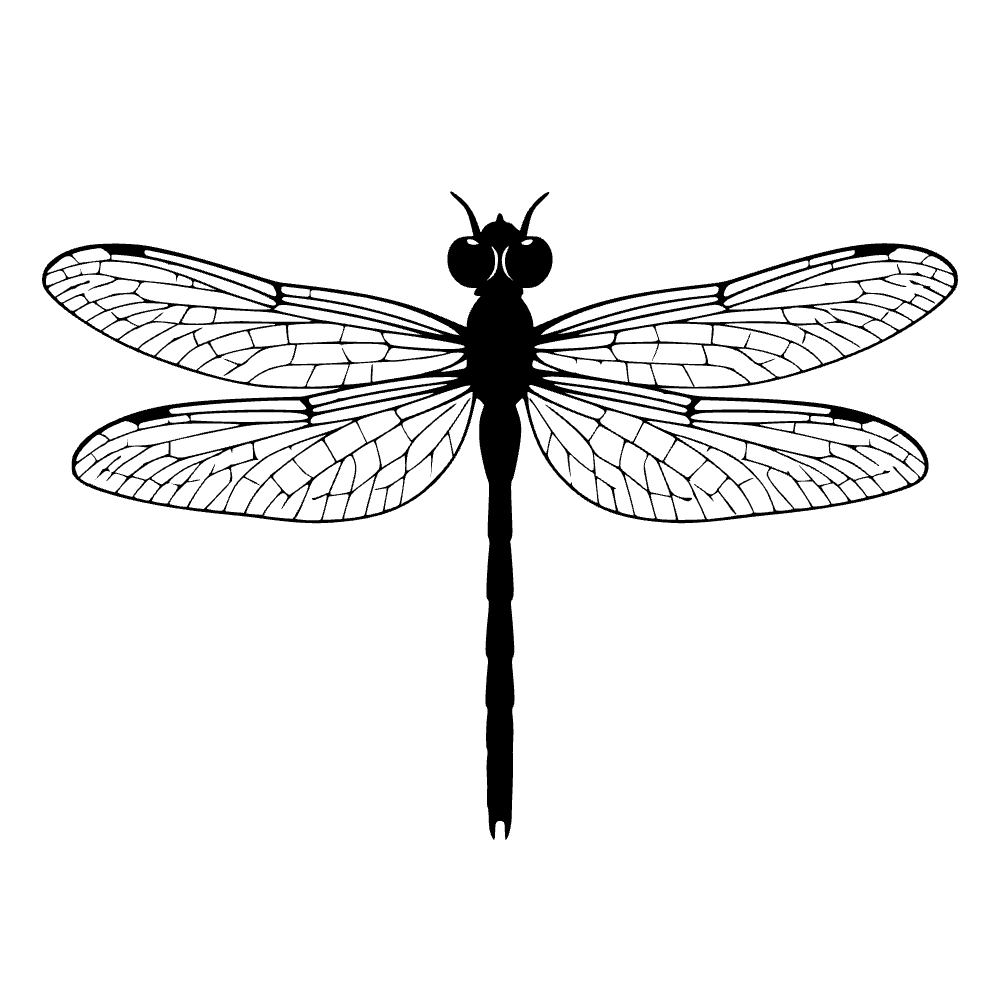 Dragonfly Wings Spread SVG cut file preview