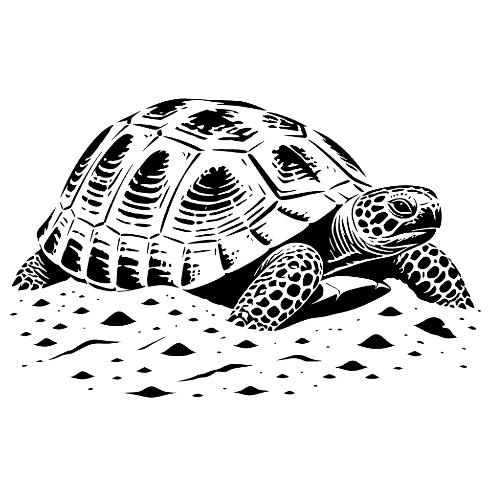 Egyptian Tortoise SVG cut file