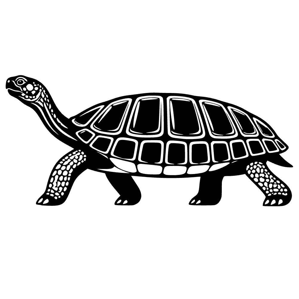 Elongated Tortoise SVG cut file
