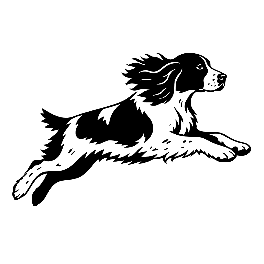 Spaniel inglés — archivo SVG