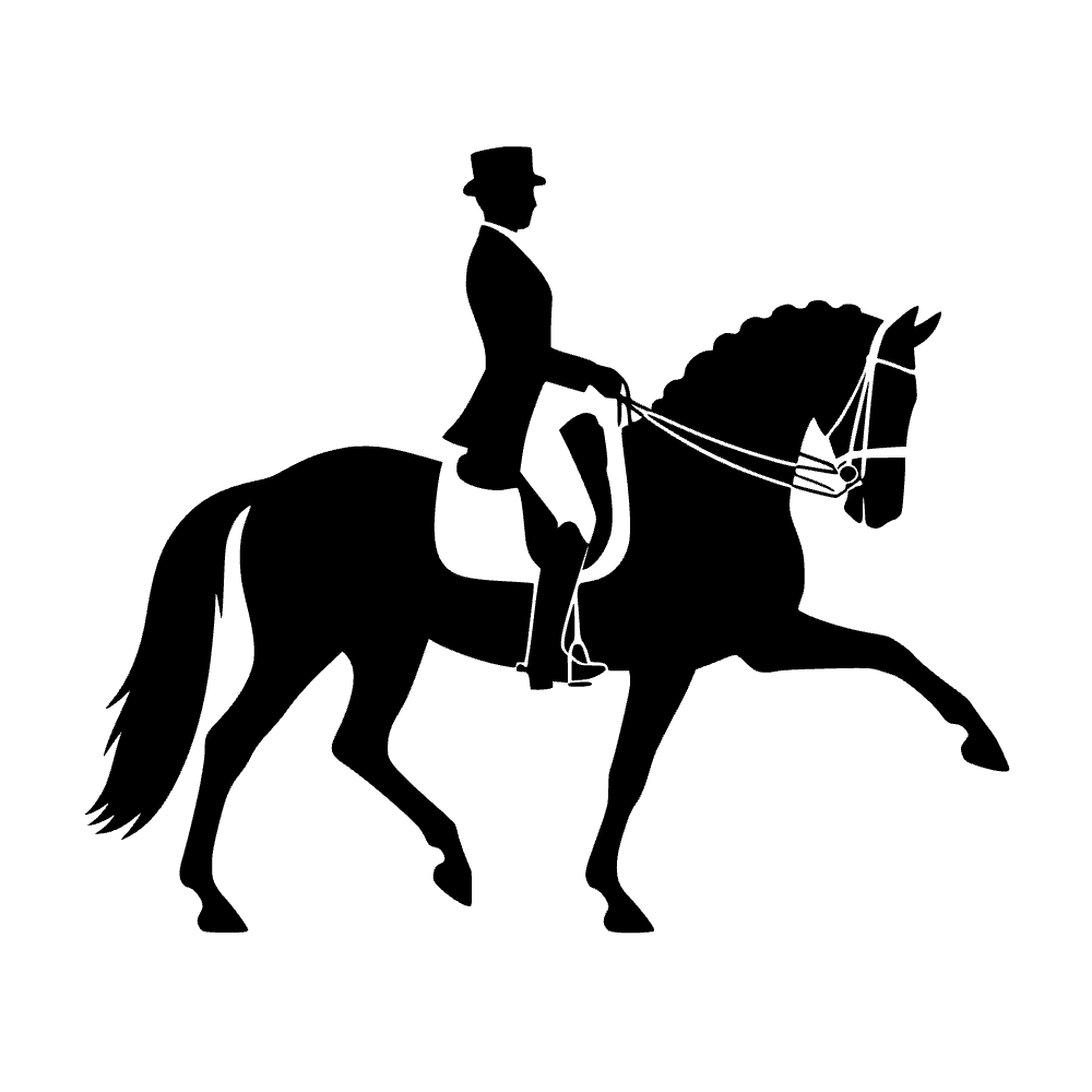 Jinete de doma ecuestre — archivo SVG