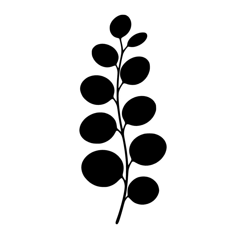 Rama de eucalipto — archivo SVG
