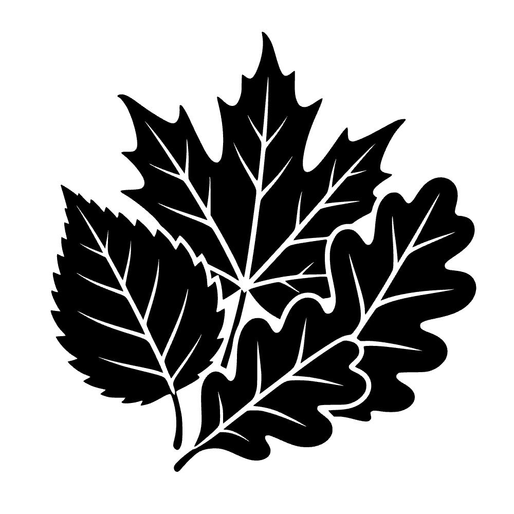 Racimo de hojas de otoño — archivo SVG