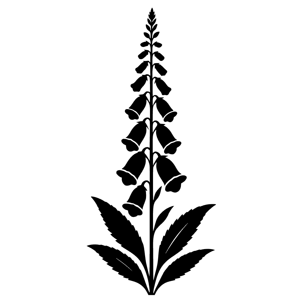 Espiga de flor de digital — archivo SVG