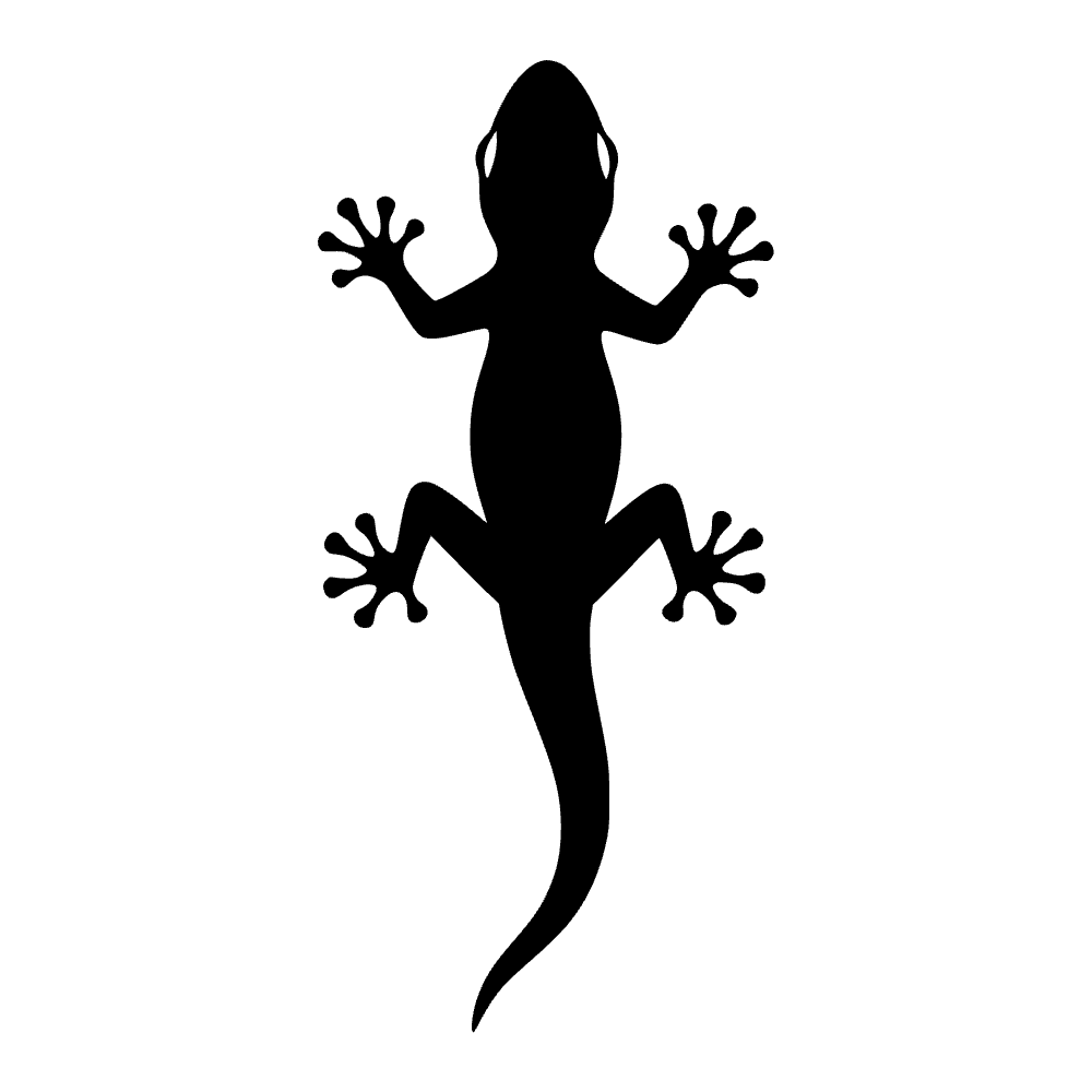 Gecko visto desde arriba — archivo SVG