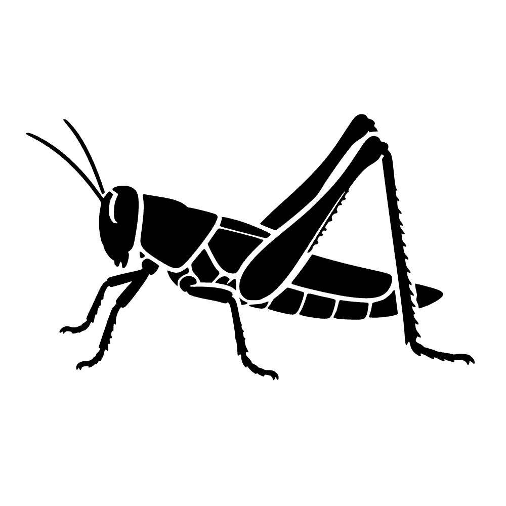 Saltamontes saltando — archivo SVG