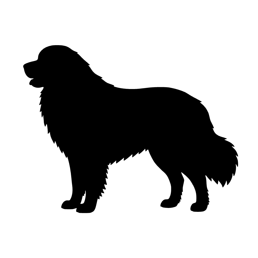 Perro gran pirineo — archivo SVG