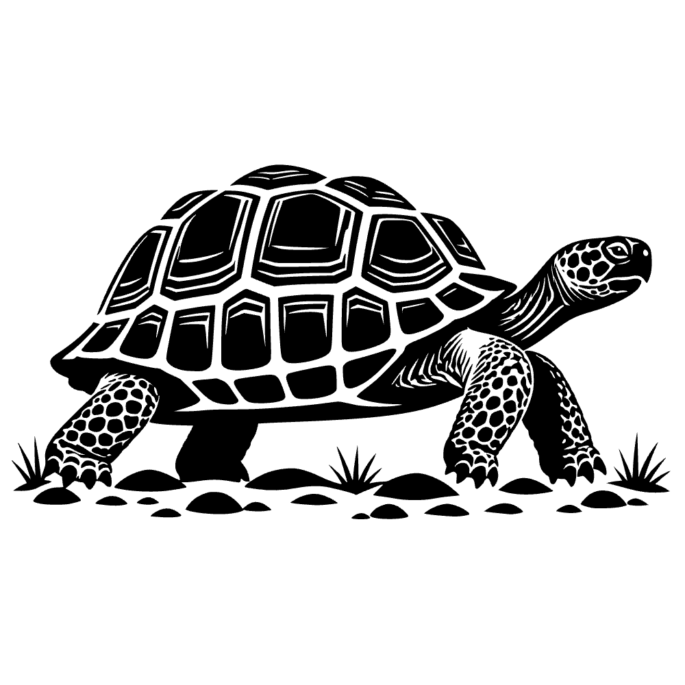 Greater Padloper Tortoise SVG cut file