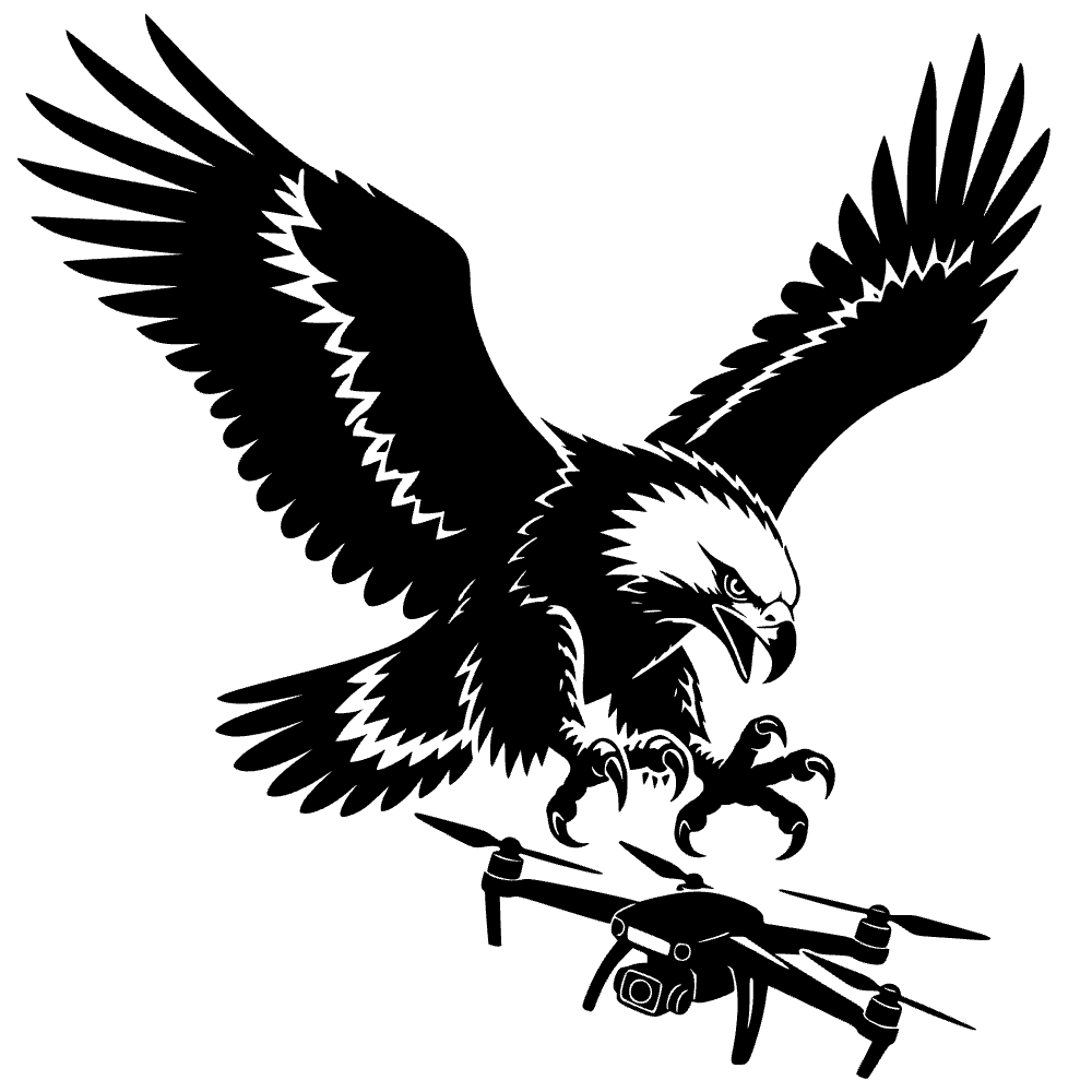 Águila de Haast en picada — archivo SVG