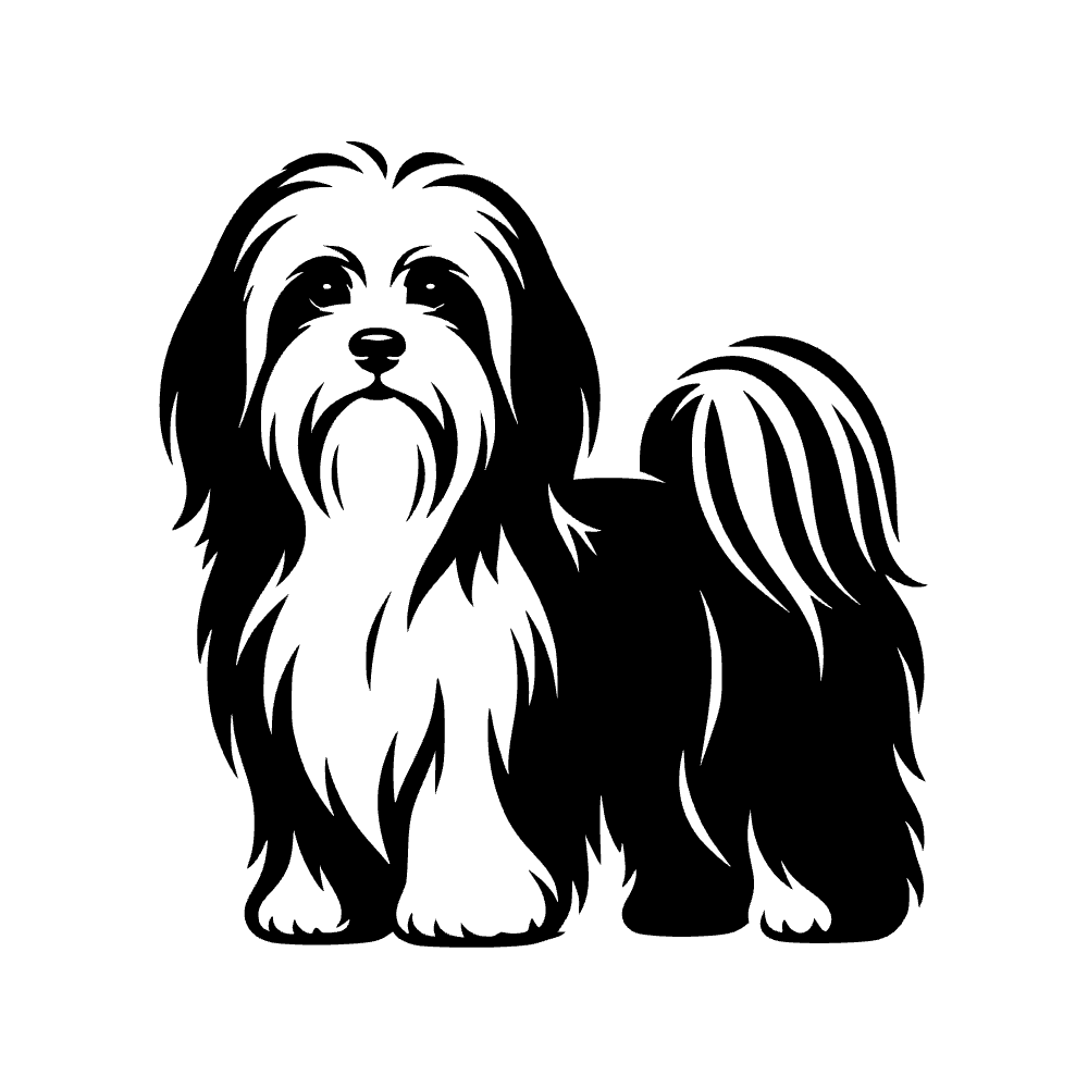 Perro habanero — archivo SVG